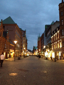Scene of Swedish city in the evening